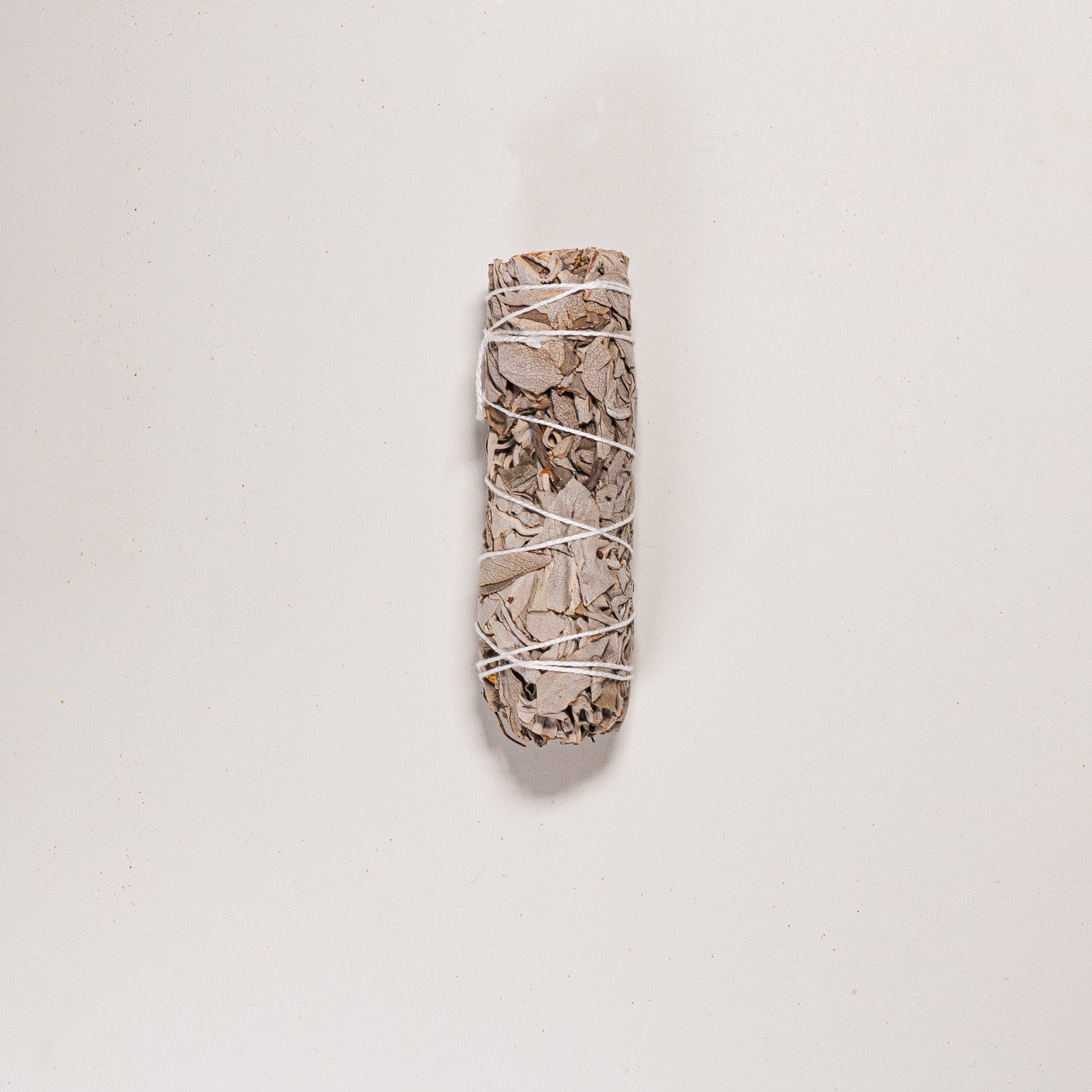 White Sage (4 Inch)